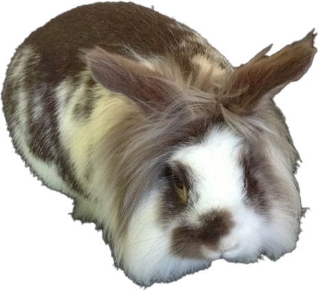 cipper3